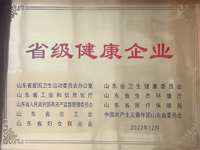 奧龍鋅業(yè)省級健康企業(yè)